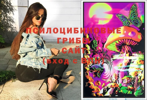ешки Абинск