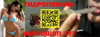 шишки Ливны