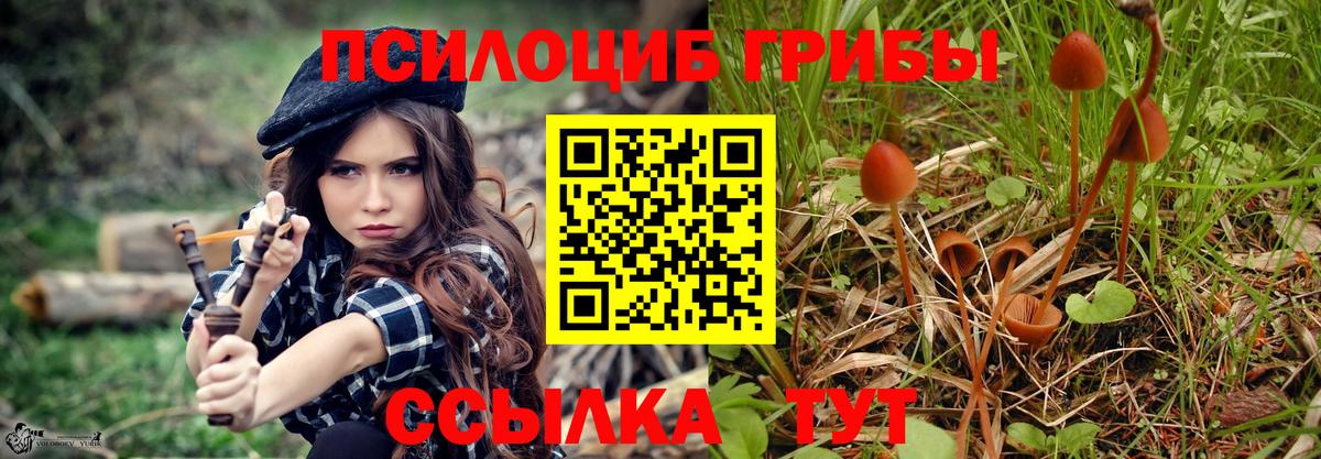 Галлюциногенные грибы GOLDEN TEACHER Грозный